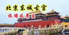 小嫩货日B视频中国北京-东城古宫旅游风景区